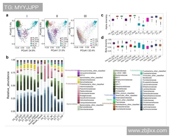 武汉网球队技术表现分析及其对比赛成绩的影响研究