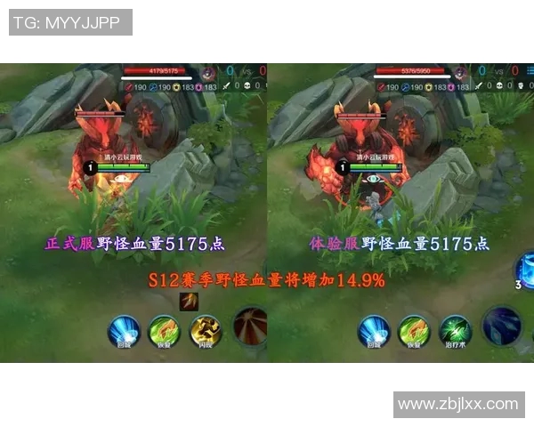 王者荣耀战术分析：深入探讨JDG战队的进攻策略与表现