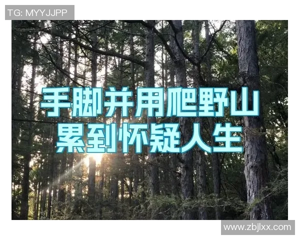 西安攀岩队的反击之路：挑战与收获的深度解析