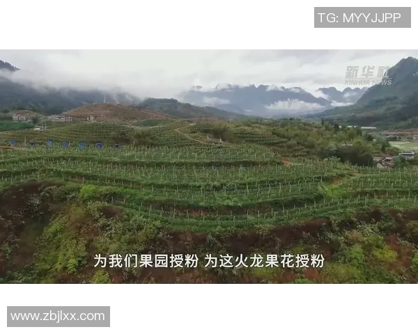 果园生态循环与可持续发展:探索现代农业的绿色转型之路 果园生态循环与可持续发展:探索现代农业的绿色转型之路
